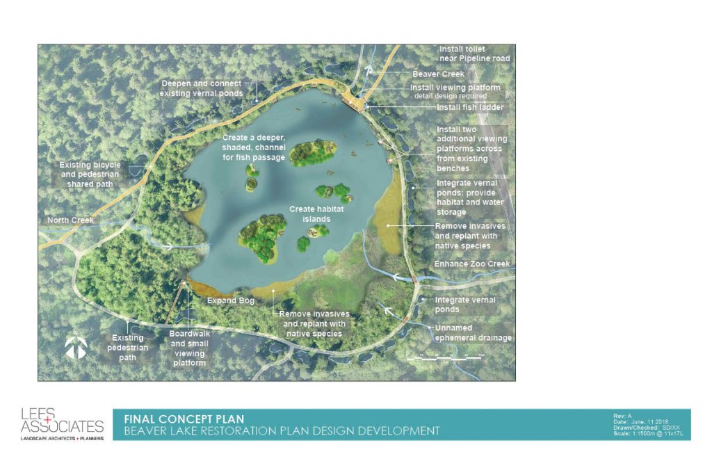 Beaver Lake Restoration Plan