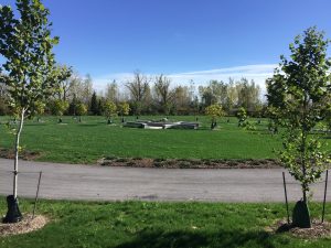 Woodlawn Cemetery Expansion Design