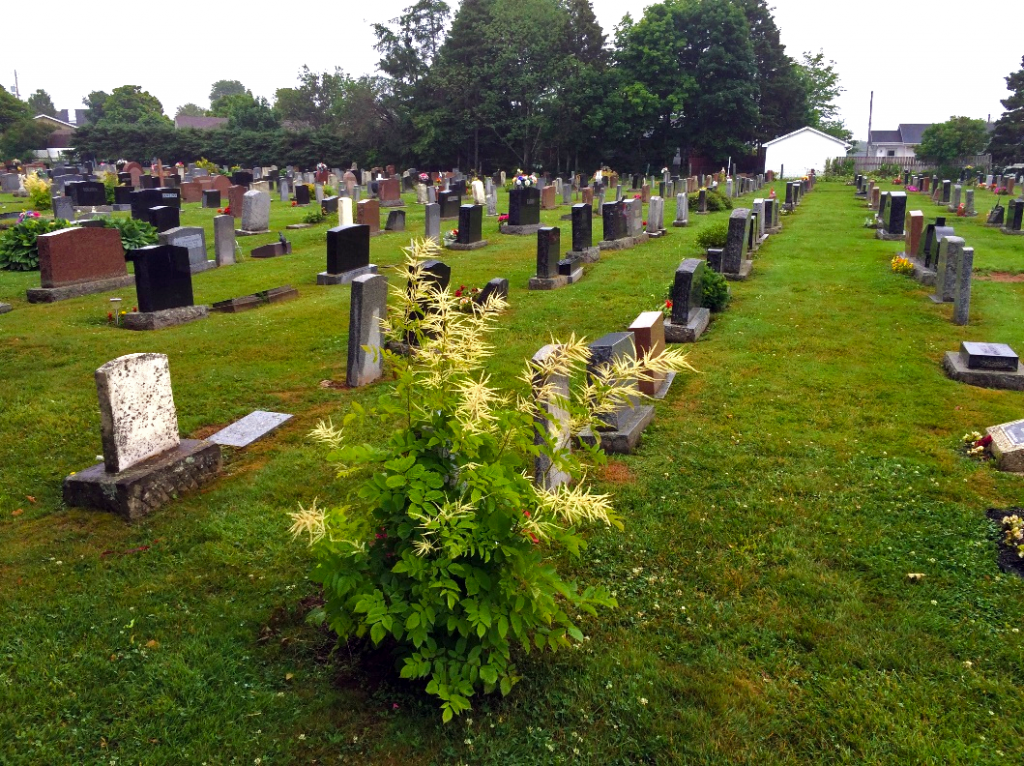 Charlottetown Diocese Cemetery Master Plan